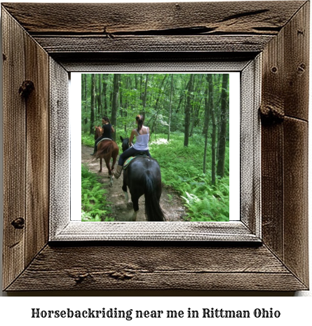 horseback riding near me in Rittman, Ohio